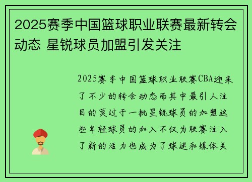 2025赛季中国篮球职业联赛最新转会动态 星锐球员加盟引发关注